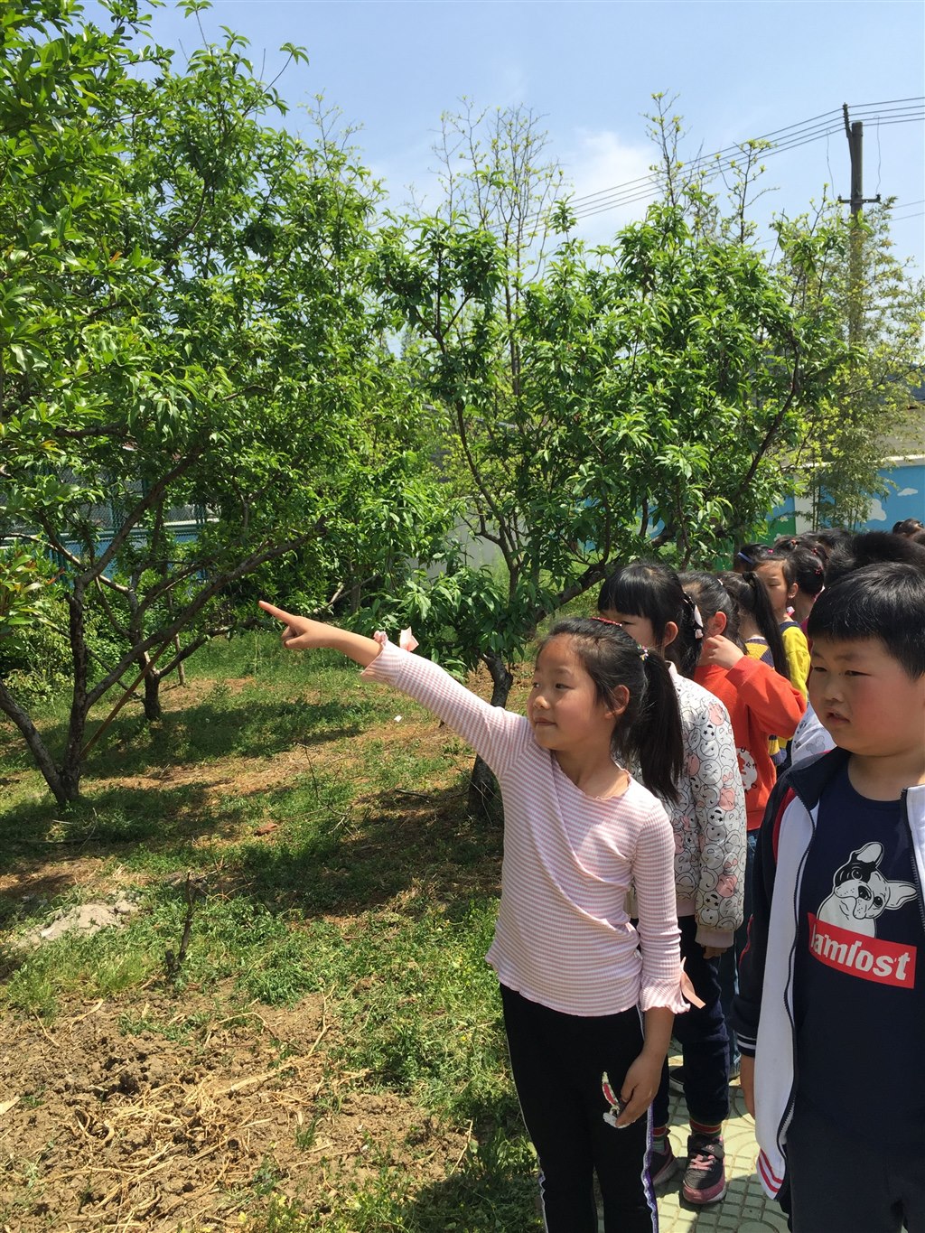 QQ图片20190418164536.jpg