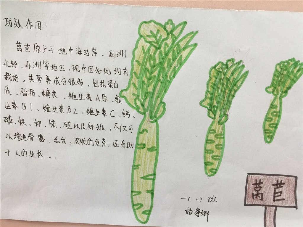 QQ图片20190425165313.jpg