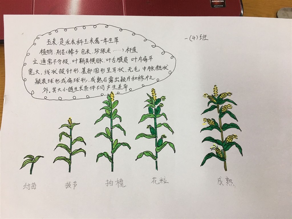 QQ图片20190429131445.jpg