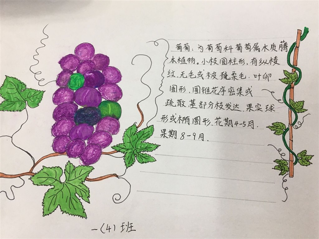 QQ图片20190429131432.jpg