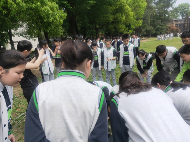 QQ图片20190429193456_副本.jpg