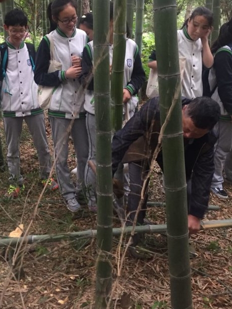 QQ图片20190507193216.jpg