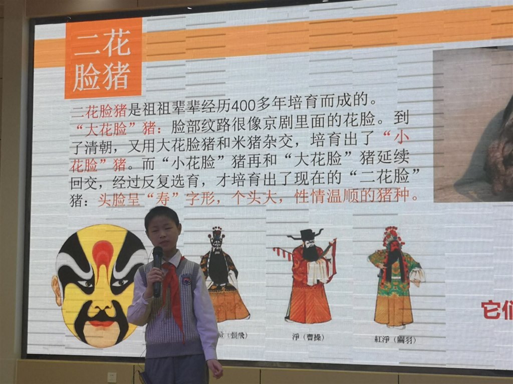 QQ图片20190508181849.jpg