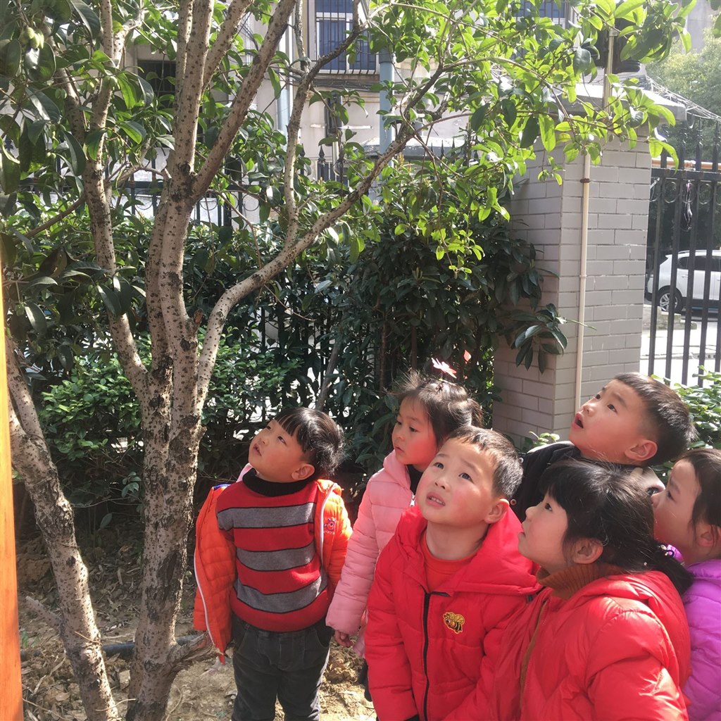 QQ图片20190509082222 - 副本.jpg