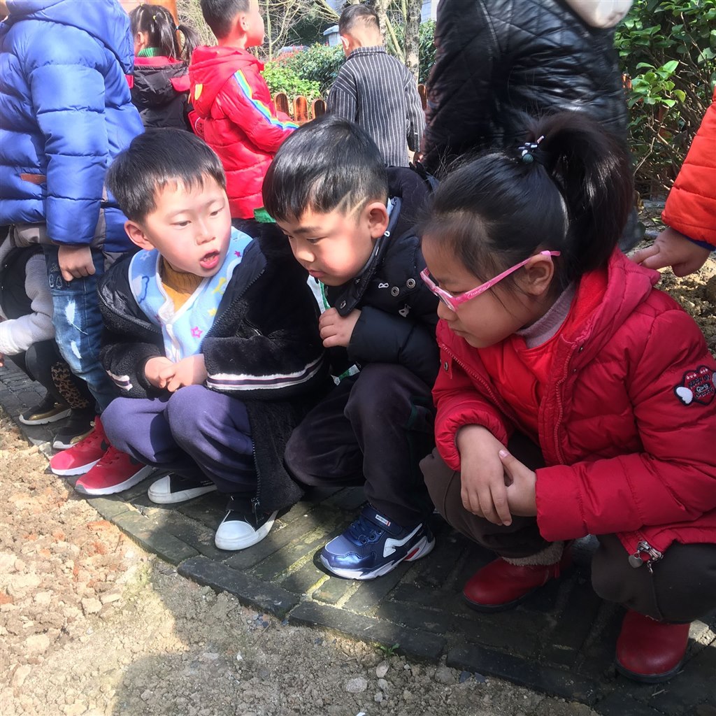 QQ图片20190509082219.jpg