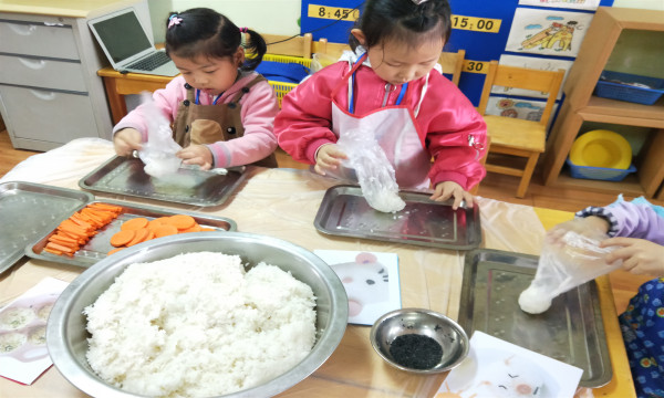 饭团1.jpg
