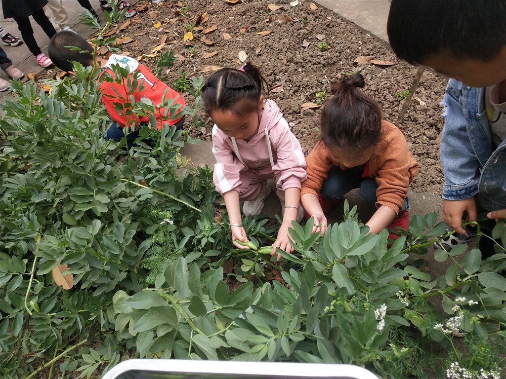 IMG_20190513_101707.jpg