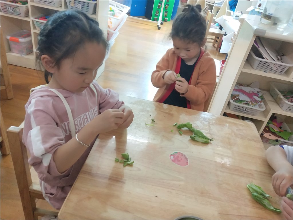 IMG_20190513_102922.jpg