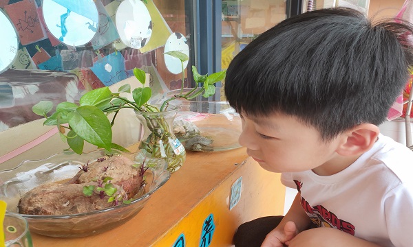 IMG20190513100714.jpg