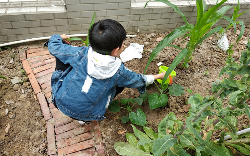 IMG_20190517_082257.jpg
