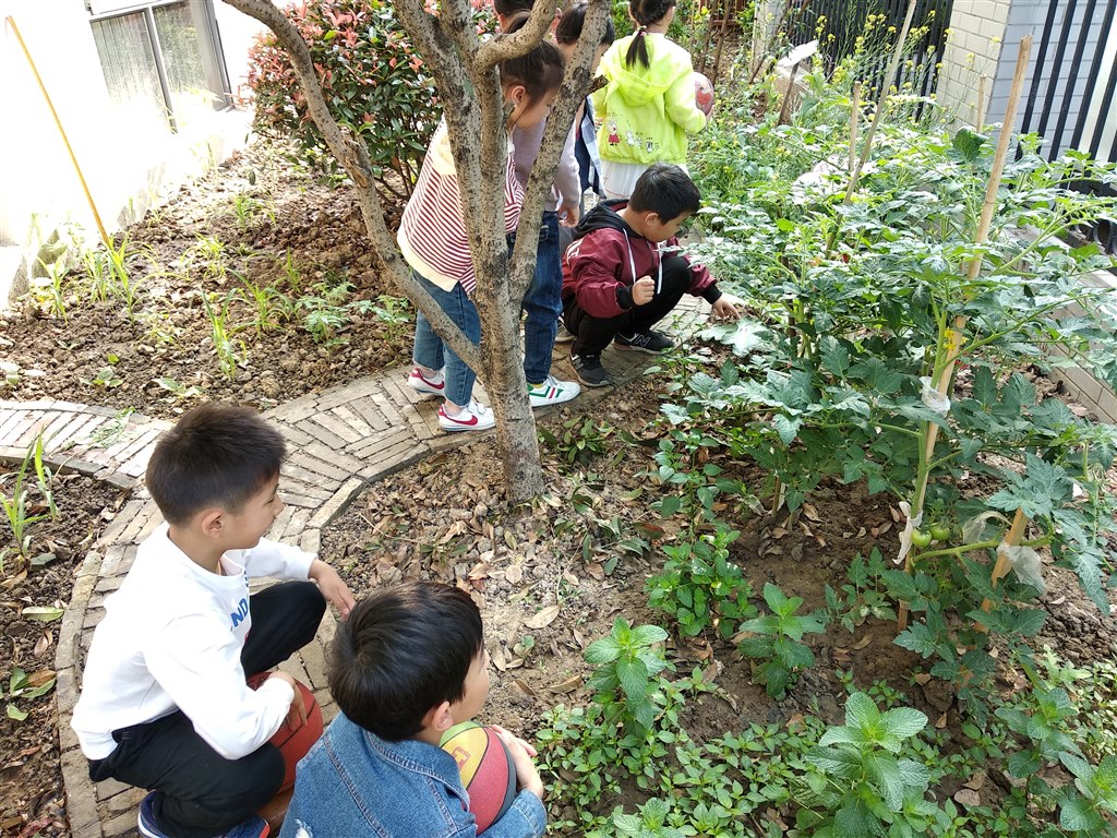IMG_20190514_082154.jpg