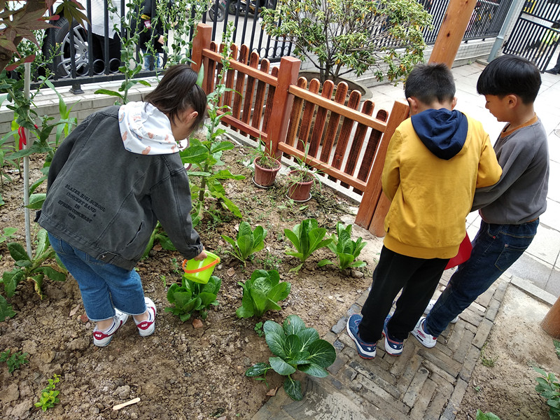 IMG_20190517_081725.jpg