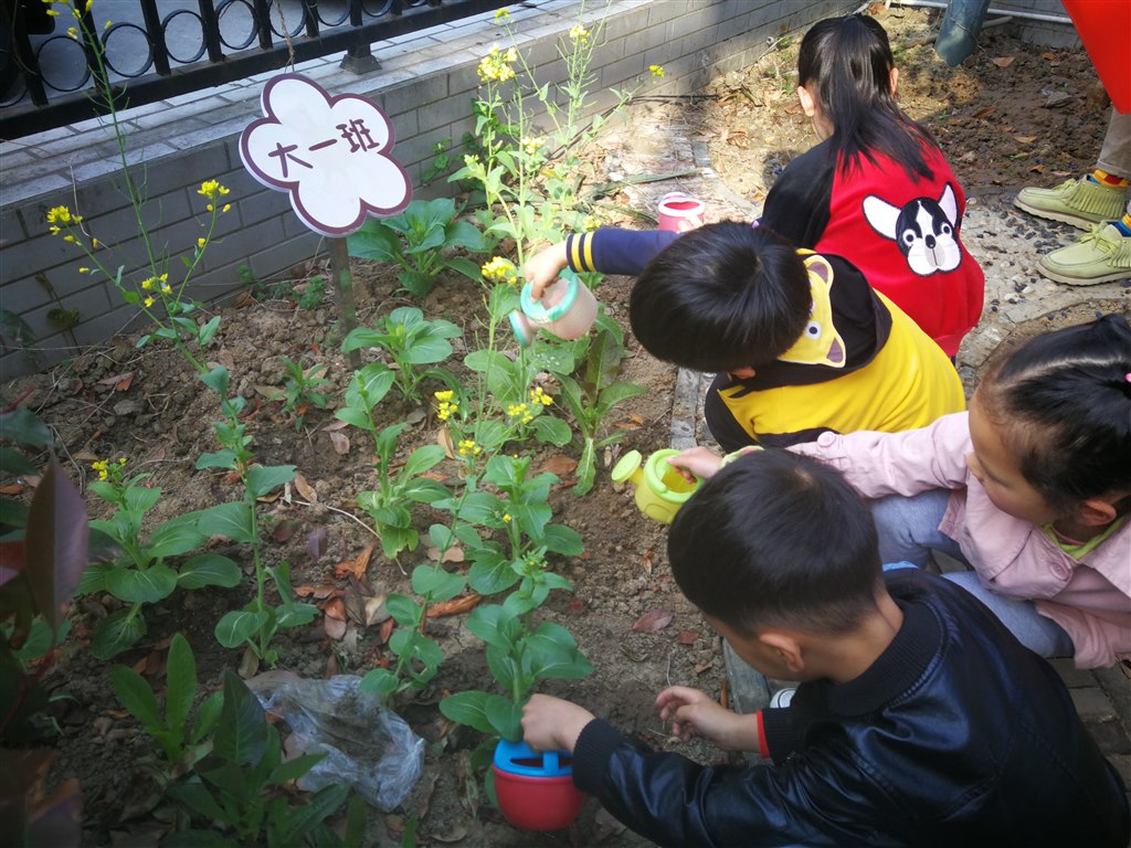 IMG_20190418_080614.jpg