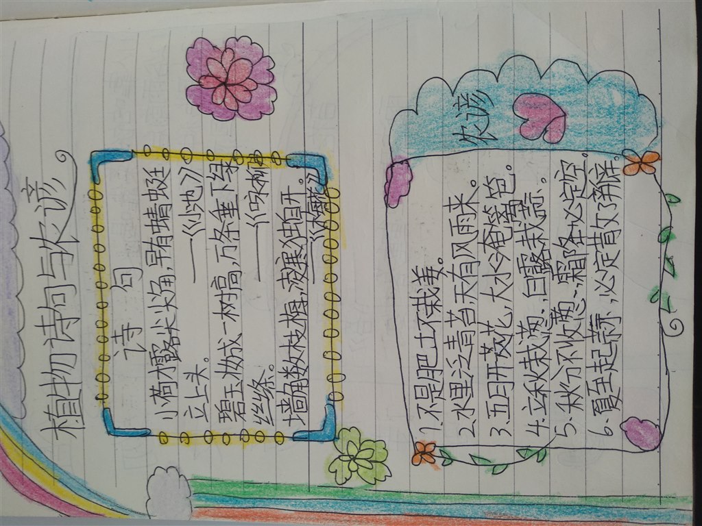 资料9.jpg