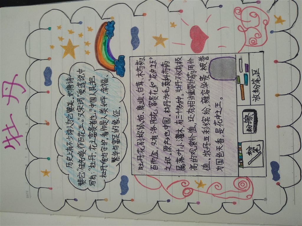 资料4.jpg
