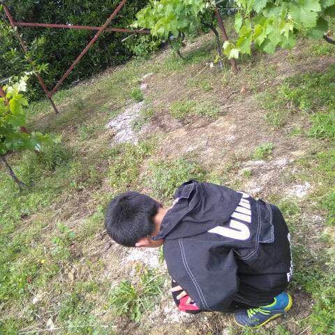 QQ图片20190524104413.jpg