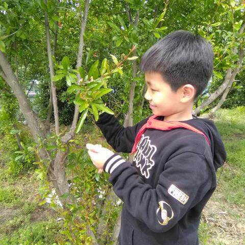 QQ图片20190524104424.jpg