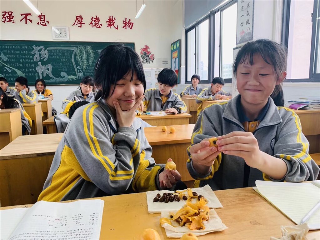 QQ图片20190529084153.jpg