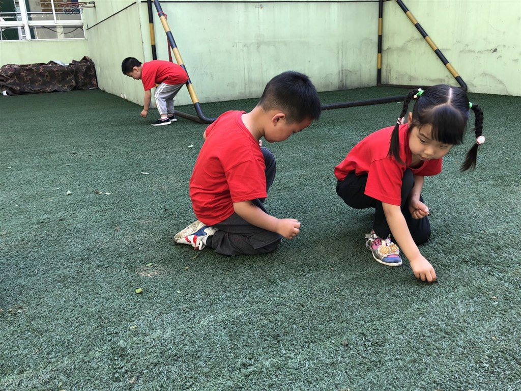 微信图片_201906031603582.jpg