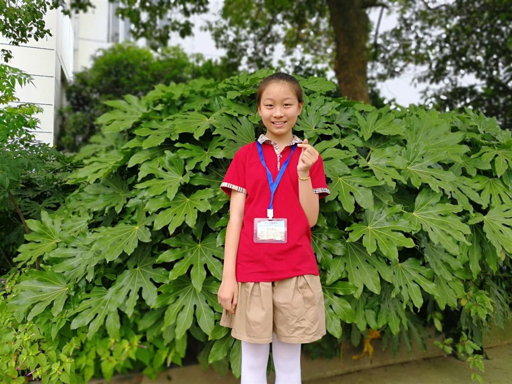 微信图片_20190617095719.jpg