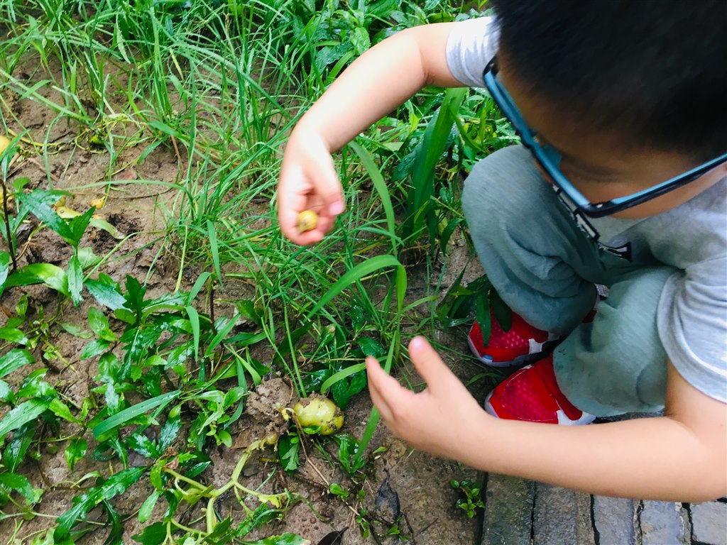 IMG_3119(20190618-082244).jpg
