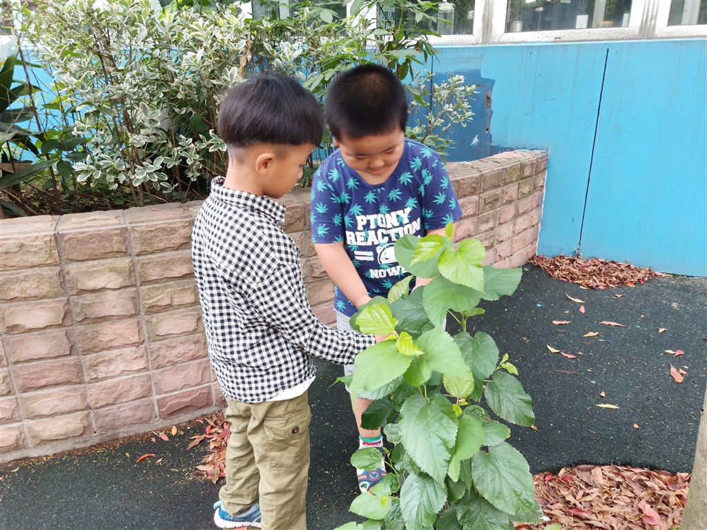 IMG20190614082135.jpg
