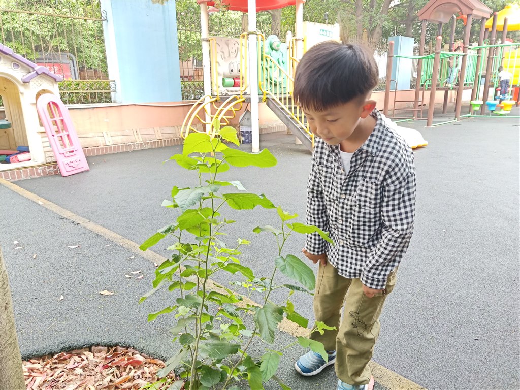 IMG20190614082043.jpg