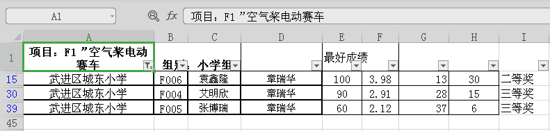 “F1”空气桨电动赛车竞速赛.png
