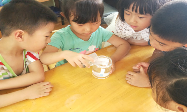 IMG20190619104253.jpg