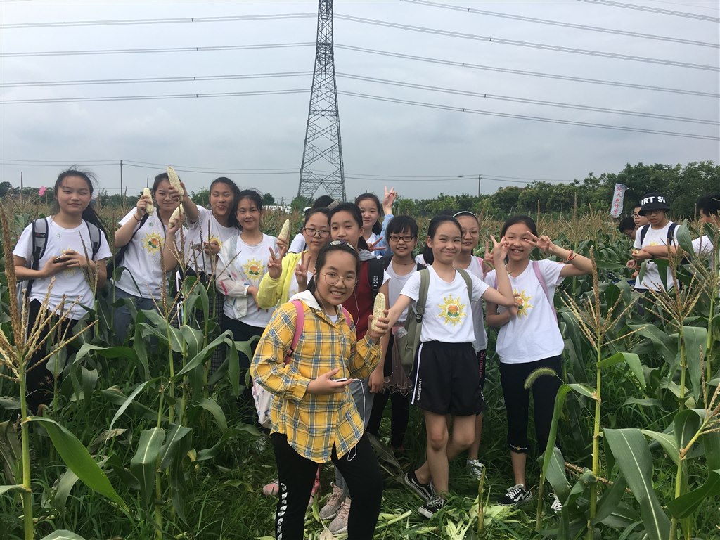 玉米.JPG