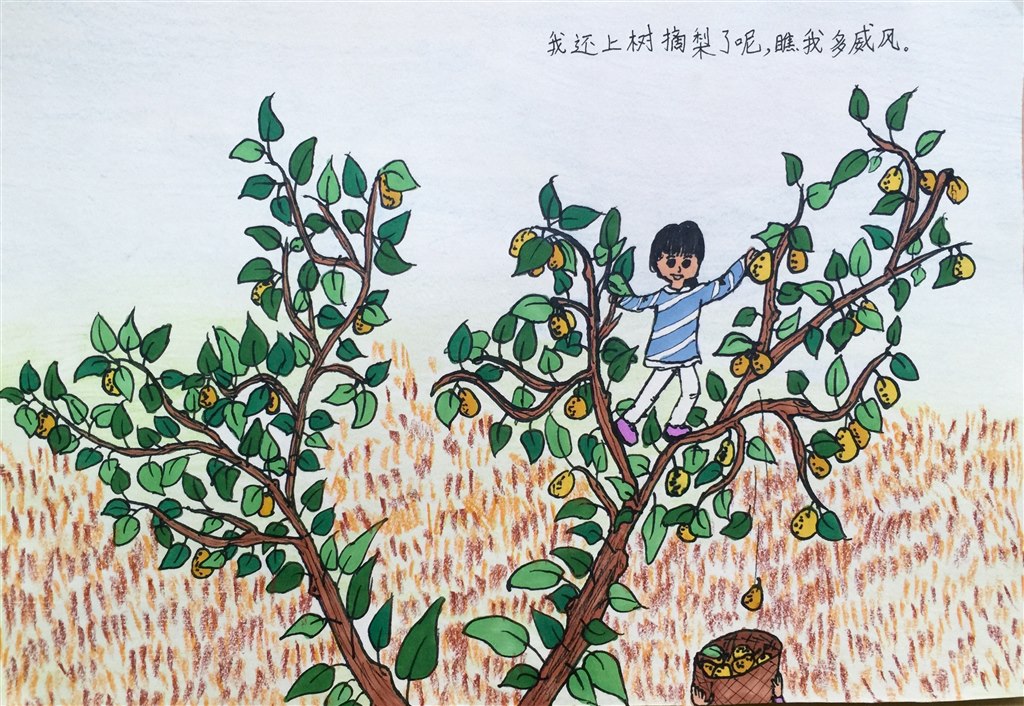 TIM图片20181120181911.jpg