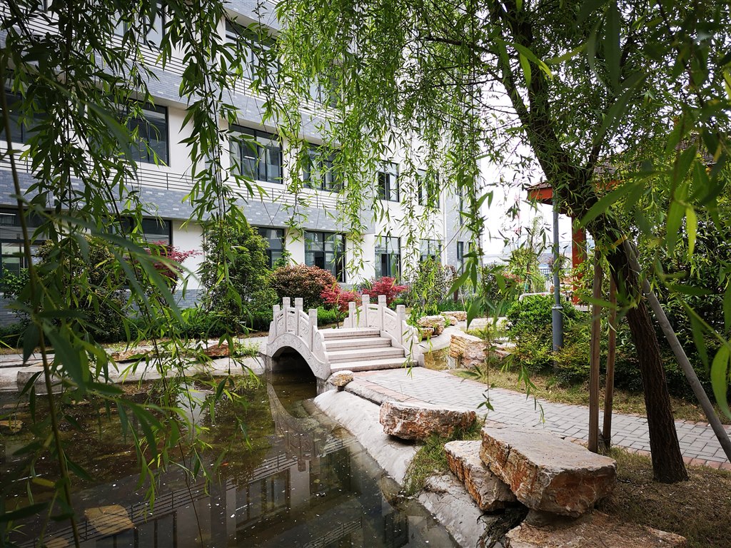 校园景观4.JPG