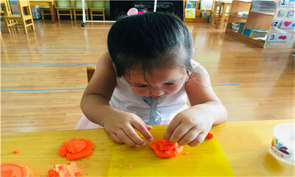 IMG_6008(20190917-102224).jpg
