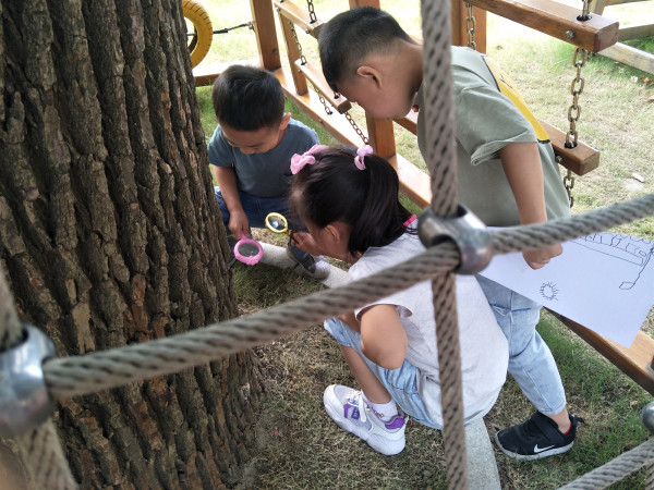 IMG20190925102719.jpg