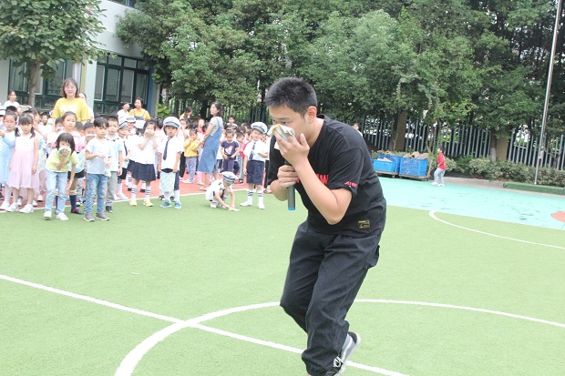 IMG_9686.JPG IMG_9686.JPG