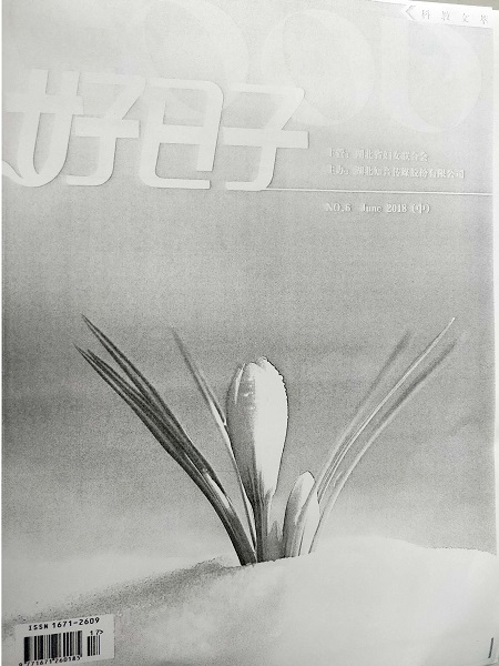 《好日子》封面.jpg
