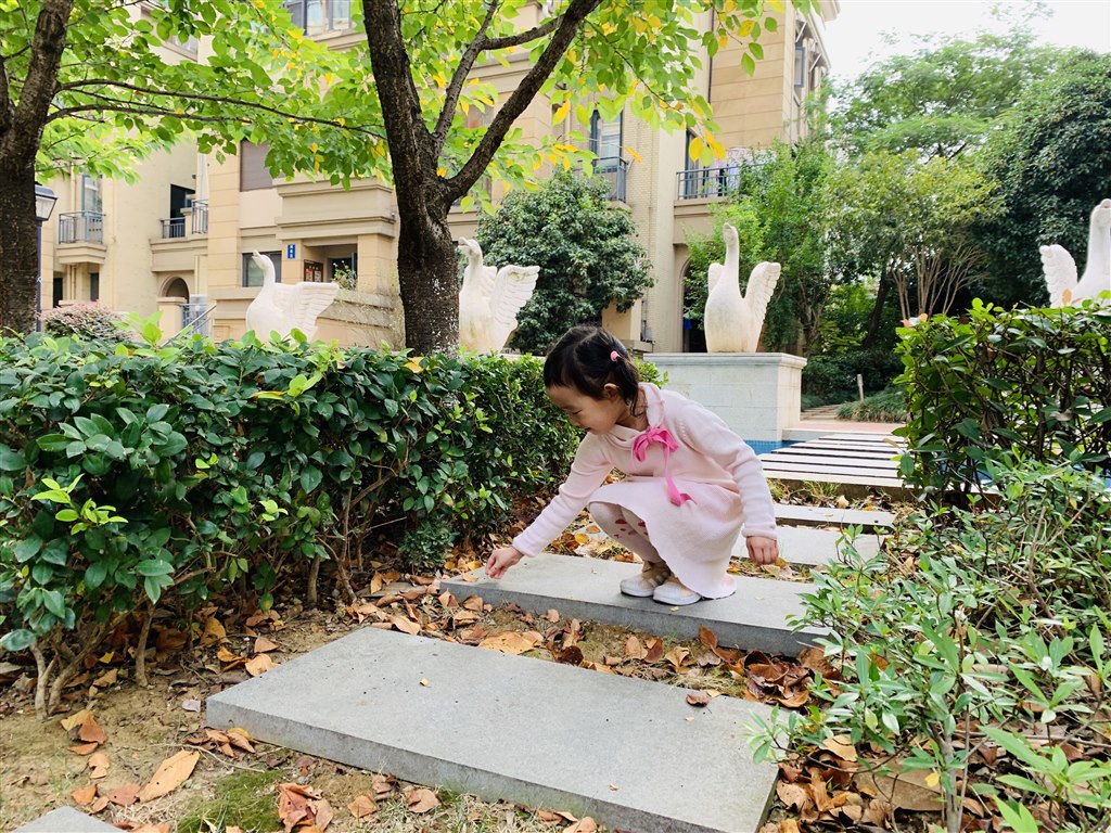 IMG_7586(20191018-101010).jpg