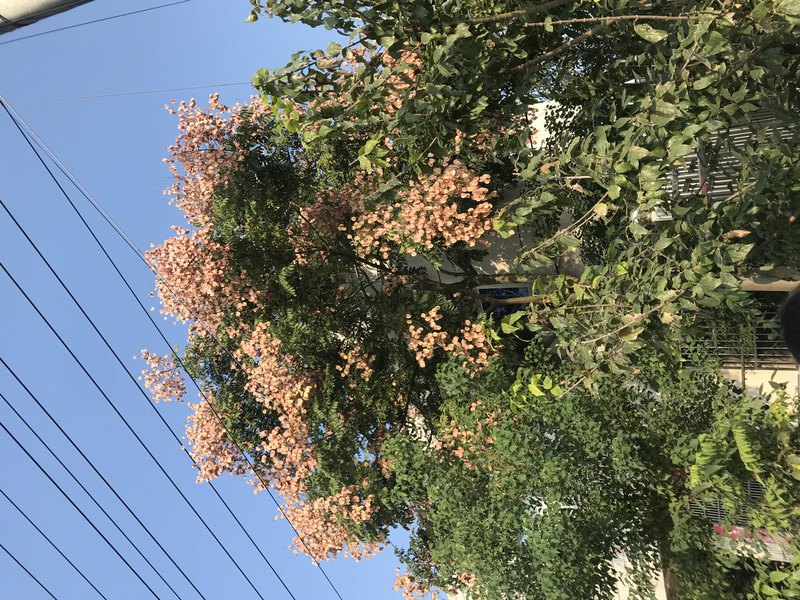 56.jpg