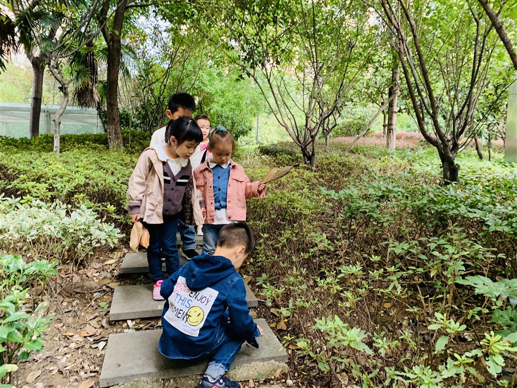 IMG_7598(20191018-101010).jpg
