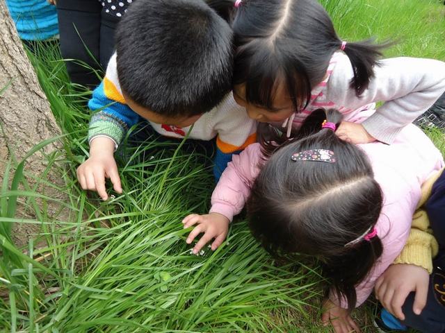 我们的活动 (5).jpg