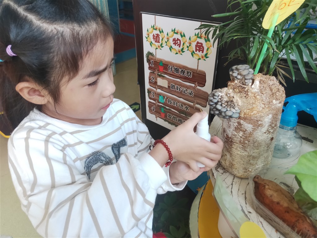 1571887277034.jpg 1571887277034.jpg