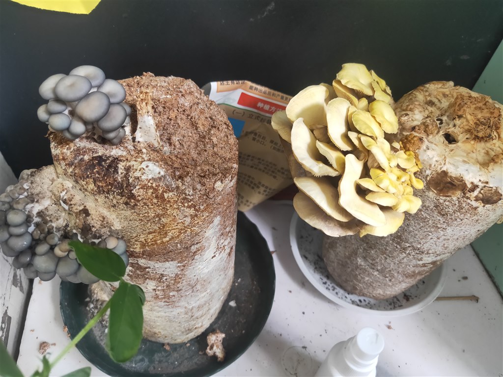 1571887343015.jpg 1571887343015.jpg