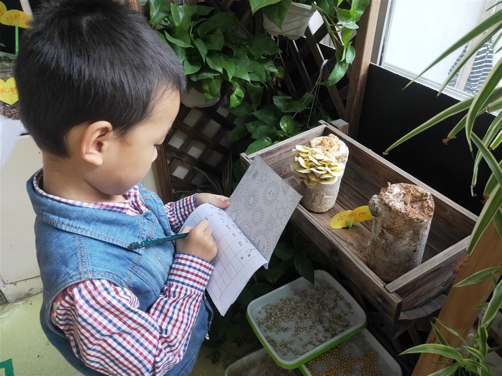 IMG20191022081317.jpg IMG20191022081317.jpg