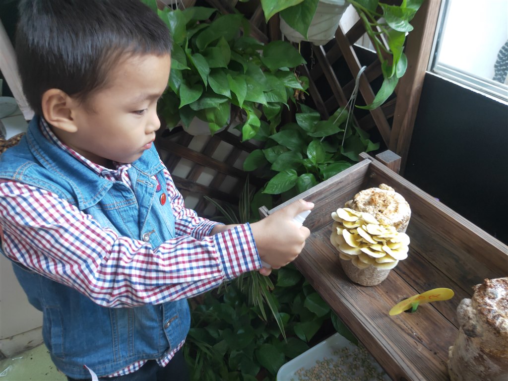 IMG20191022081403.jpg IMG20191022081403.jpg