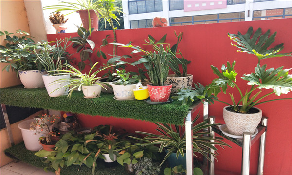 IMG20191023121825.jpg