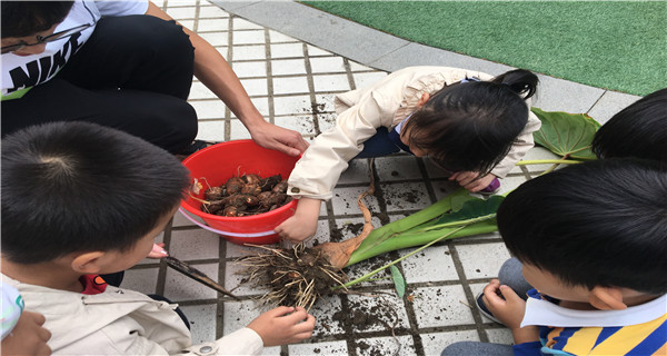 2019-10-12 154759.jpg