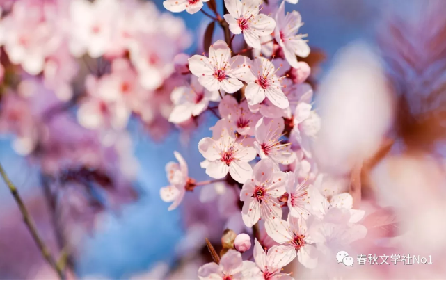 QQ图片20191014102724.png QQ图片20191014102724.png