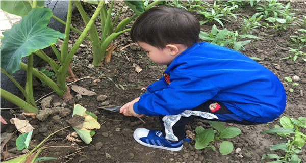 2019-10-12 153452.jpg