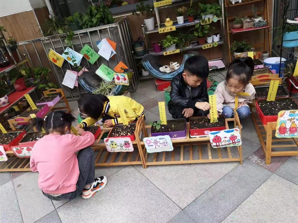 种植1.jpg