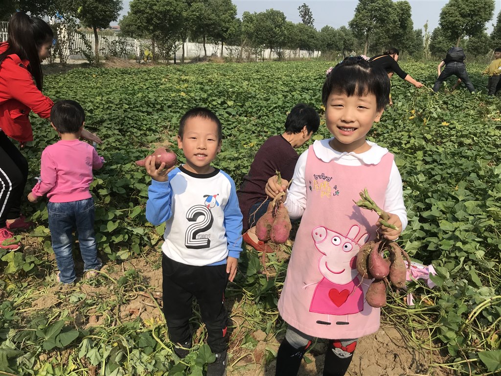 QQ图片20191028211411.jpg